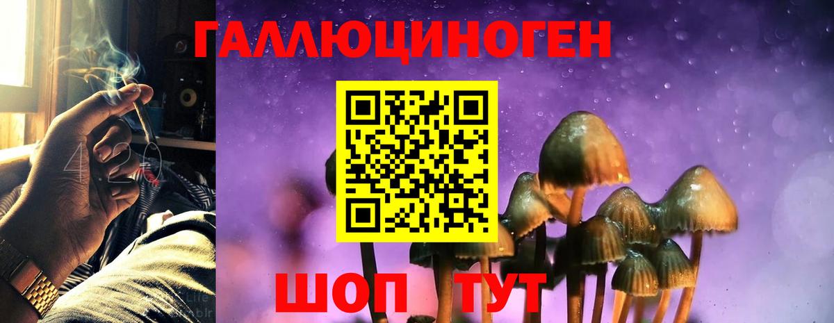 Галлюциногенные грибы мицелий Вязьма